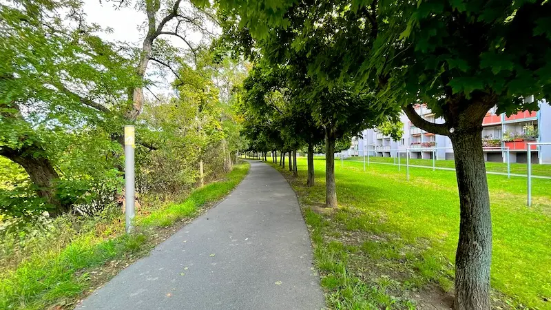 Der Fußweg an der Müglitz